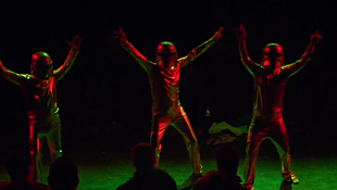 Falcon Powder | 2011 Best of the Fest